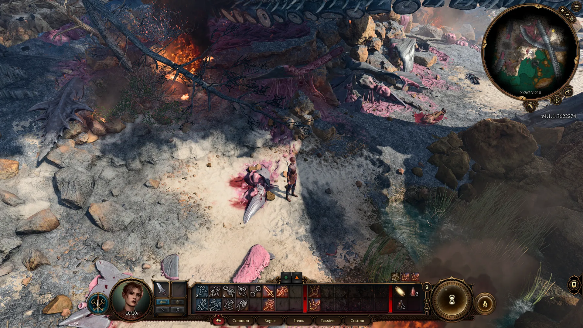 A Baldur's Gate 3 screenshot depicting a top-down view of a canyon scene